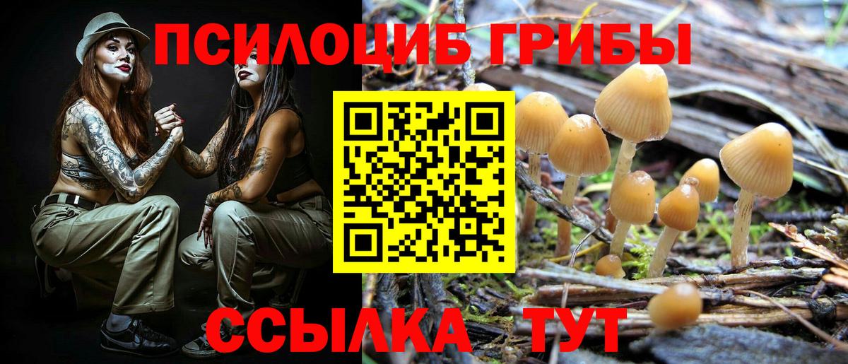 Псилоцибиновые грибы Magic Shrooms  Вход с VPN  Ярцево  Галлюциногенные грибы Cubensis 